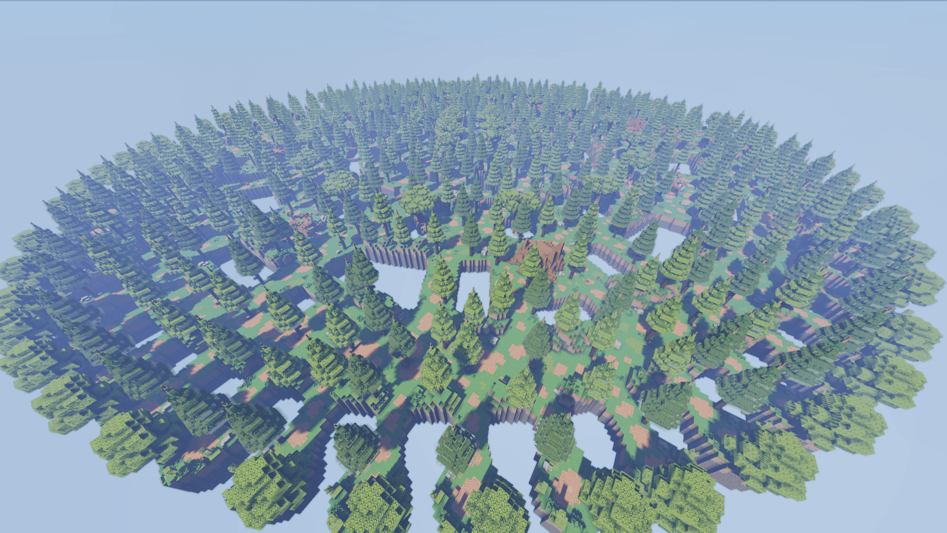 Forest